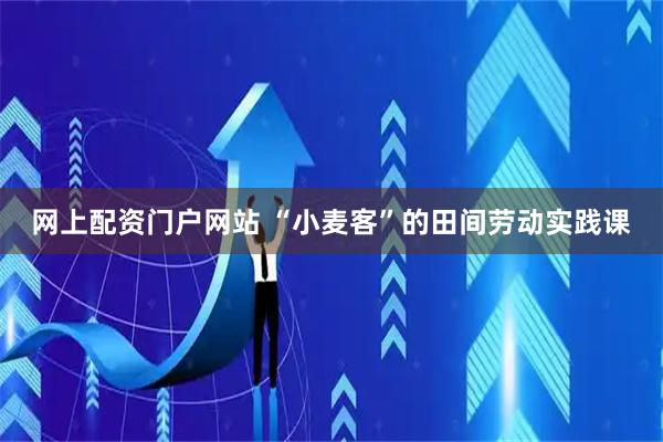 网上配资门户网站 “小麦客”的田间劳动实践课